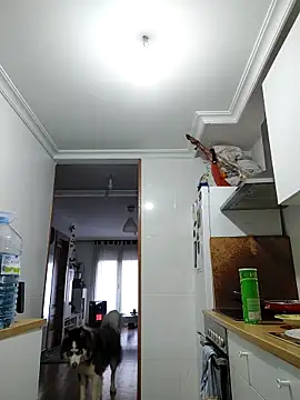 rubio009 online show from March 29, 2026, 3:57 pm