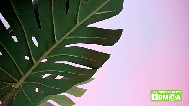 Snapshot of lovesweetash chatting on April 13, 2026, 2:21 pm lovesweetash online show from April 13, 2026, 2:21 pm