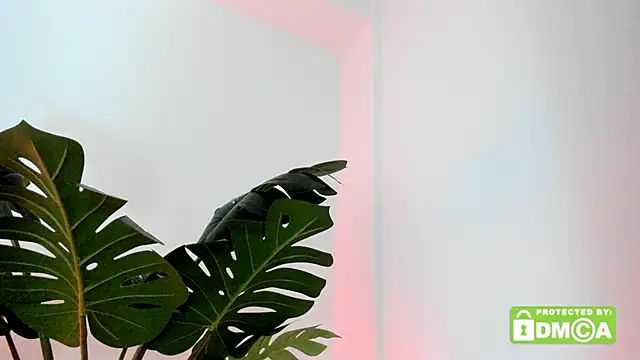 Snapshot of lovesweetash chatting on March 16, 2026, 12:53 pm lovesweetash online show from March 16, 2026, 12:53 pm