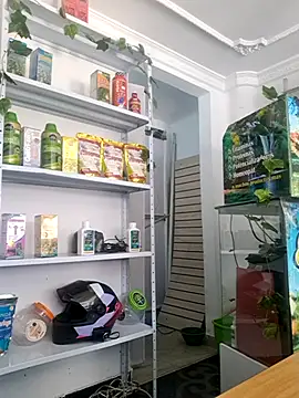 Tatianna Loove  online show from March 14, 2026, 2:56 pm