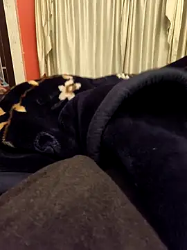 rubitrides11 online show from February 11, 2026, 7:47 pm