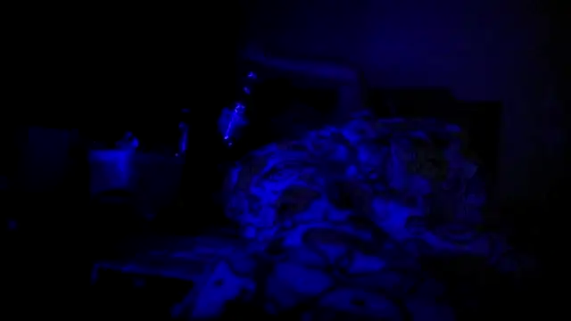 bialoba7 online show from February 16, 2026, 2:43 am