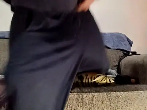 AERIALCLOVER online show from February 24, 2026, 12:17 pm