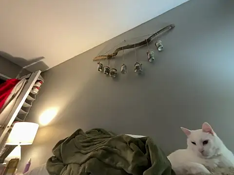 Sexysanka online show from February 5, 2026, 1:01 am