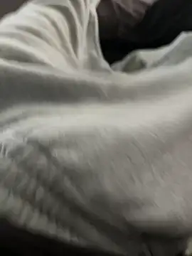 Snapshot of bugballs1 chatting on February 20, 2026, 11:39 pm bugballs1 online show from February 20, 2026, 11:39 pm