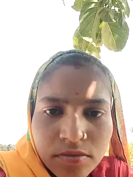 Gungun thakur online show from February 11, 2026, 8:03 am