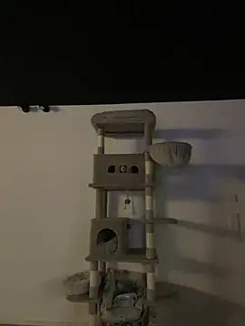 Snapshot of Just-Lilly chatting on March 10, 2026, 12:14 am Just-Lilly online show from March 10, 2026, 12:14 am