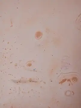 Snapshot of Sapna_baby1 chatting on February 21, 2026, 4:36 am Sapna baby1 online show from February 21, 2026, 4:36 am