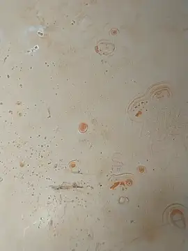 Snapshot of Sapna_baby1 chatting on February 26, 2026, 4:34 am Sapna baby1 online show from February 26, 2026, 4:34 am