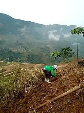 Snapshot of cana4455 chatting on March 10, 2026, 2:26 am cana4455 online show from March 10, 2026, 2:26 am