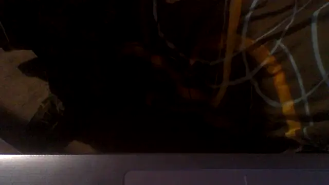 crikeycock online show from May 24, 2026, 4:12 am