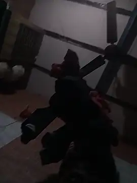 ravimandal online show from February 24, 2026, 7:37 pm