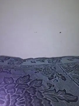 Sakeemaxxy online show from April 13, 2026, 9:08 pm