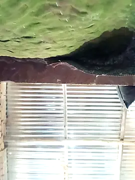 Snapshot of Hot_ree64 chatting on March 13, 2026, 7:24 am Hot ree64 online show from March 13, 2026, 7:24 am