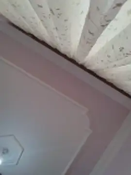 boraaily online show from February 23, 2026, 8:04 am