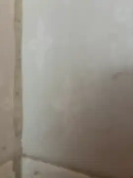 Snapshot of Ronny69y chatting on February 20, 2026, 6:26 am Ronny69y online show from February 20, 2026, 6:26 am