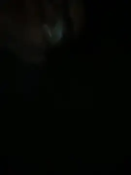 Snapshot of Femboysissy1919 chatting on April 7, 2026, 1:18 am Femboysissy1919 online show from April 7, 2026, 1:18 am