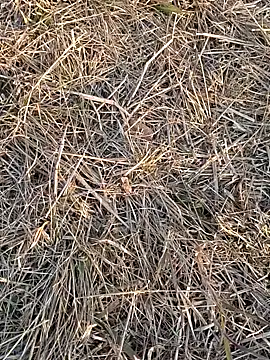 Kiran hote online show from February 13, 2026, 11:54 am