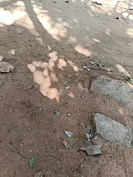 Kiran hote online show from February 16, 2026, 8:46 am