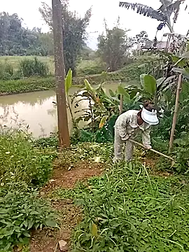 Girl-crazy1 online show from March 16, 2026, 9:46 am