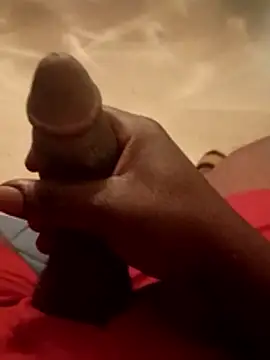 thickdicck90 online show from April 15, 2026, 11:59 am