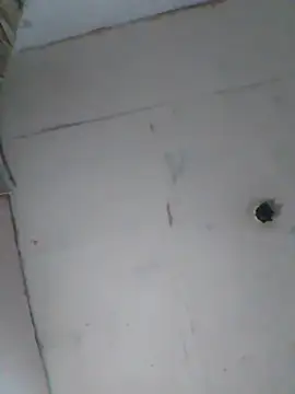 cobrosdepagos online show from April 1, 2026, 1:51 am