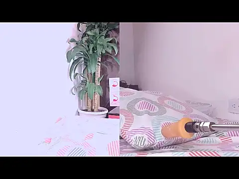 Carol Swet online show from March 19, 2026, 11:32 am