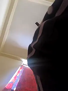 Cute--Sakshi online show from March 20, 2026, 7:53 am