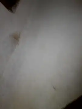 iwantolderwmn online show from February 19, 2026, 1:46 am