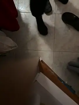 D4n13l47 online show from April 5, 2026, 6:58 pm