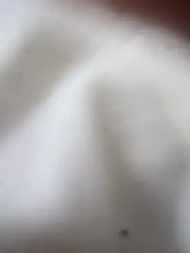 Jaybraconect online show from February 21, 2026, 5:09 am