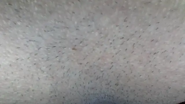 Snapshot of machodotado97 chatting on March 15, 2026, 5:14 am machodotado97 online show from March 15, 2026, 5:14 am