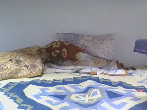 ahmetsoner0249 online show from April 24, 2026, 6:21 pm