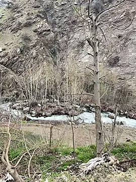 TurkeyMen online show from April 8, 2026, 9:11 am