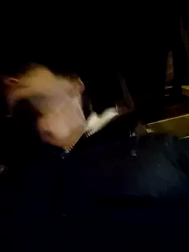 Snapshot of DlaNiej chatting on February 26, 2026, 6:30 pm DlaNiej online show from February 26, 2026, 6:30 pm