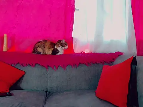 DeboraGill online show from March 10, 2026, 8:24 pm