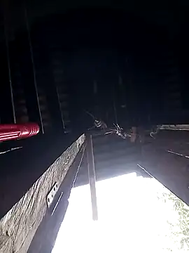 giang7711 online show from March 2, 2026, 5:08 am