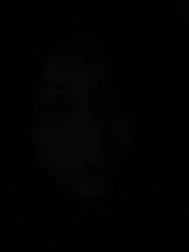 gatinholl online show from March 9, 2026, 5:33 am