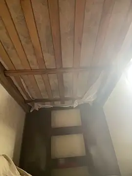 Leaohennr online show from February 20, 2026, 6:21 pm