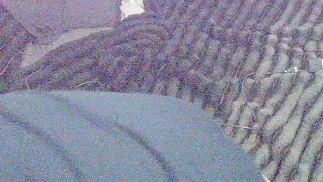 Snapshot of elong007 chatting on April 1, 2026, 3:53 pm elong007 online show from April 1, 2026, 3:53 pm