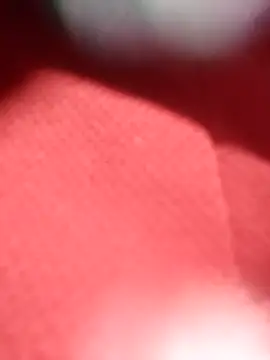 jackkk0011 online show from February 26, 2026, 12:49 pm