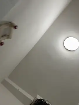 Snapshot of frociobisex01 chatting on February 24, 2026, 1:17 am frociobisex01 online show from February 24, 2026, 1:17 am