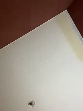 Snapshot of MoonGoddess424 chatting on February 24, 2026, 4:13 am MoonGoddess424 online show from February 24, 2026, 4:13 am