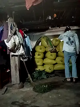 pic8800 online show from April 3, 2026, 1:56 am