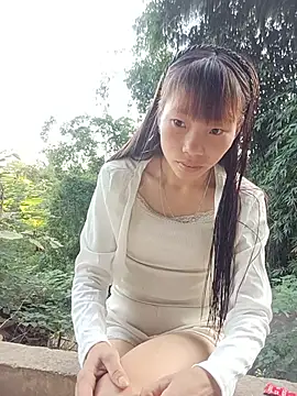 pic8800 online show from May 26, 2026, 11:25 pm