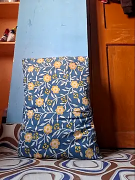 hotindboy online show from February 28, 2026, 6:13 am