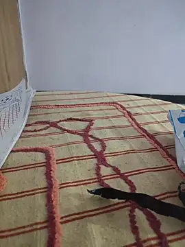 Tamillaxmi12 online show from March 6, 2026, 12:55 pm