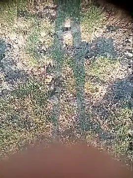 Ambala1 online show from April 21, 2026, 1:42 am