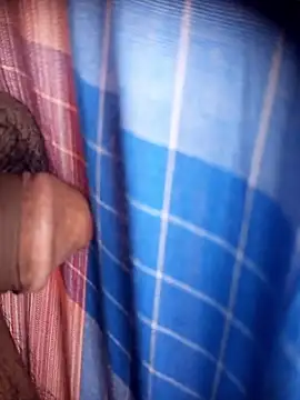 Ambala1 online show from April 21, 2026, 7:37 am