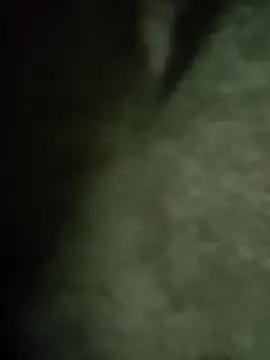 Pop1977 online show from April 7, 2026, 2:08 pm